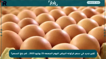 تغير جديد في سعر كرتونة البيض اليوم الجمعة 25 يوليو 2025.. كم بلغ السعر؟